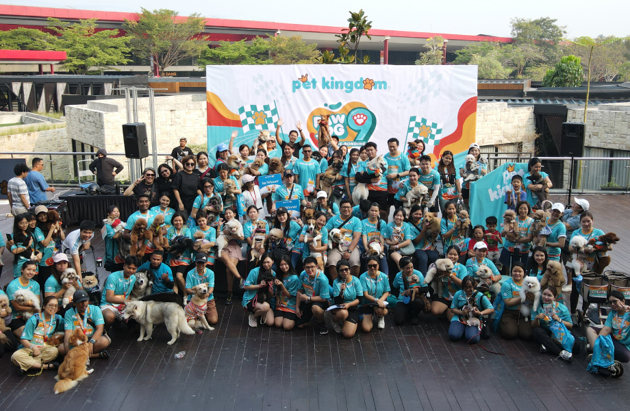 Three Fun Activities at PAWJOG 9 QBIG BSD You Need to Know